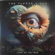The Flower Kings - Look At You Now